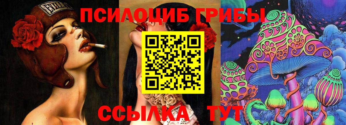 Галлюциногенные грибы GOLDEN TEACHER  Вход с VPN  Кудымкар 